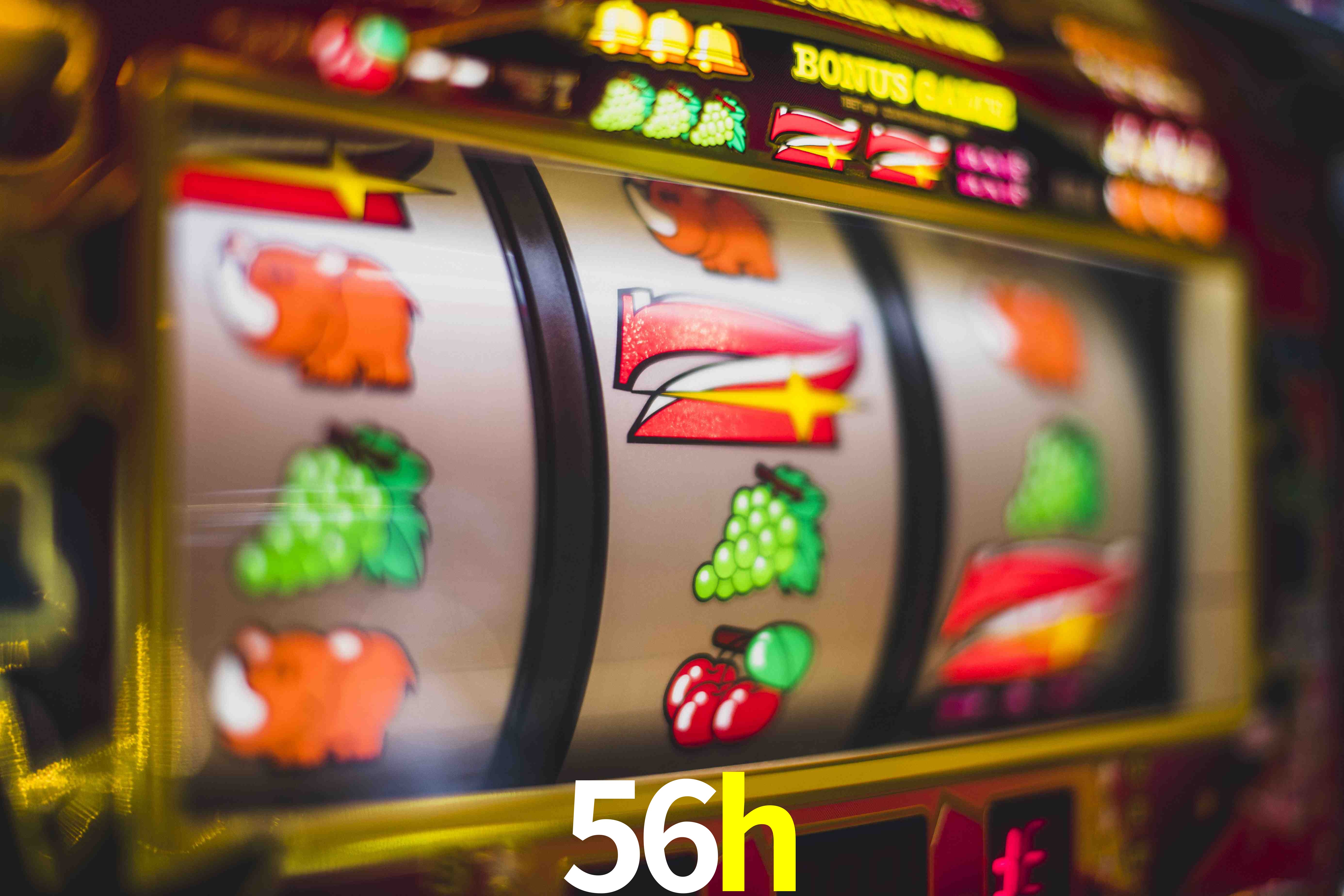 Sports Statistics 56h